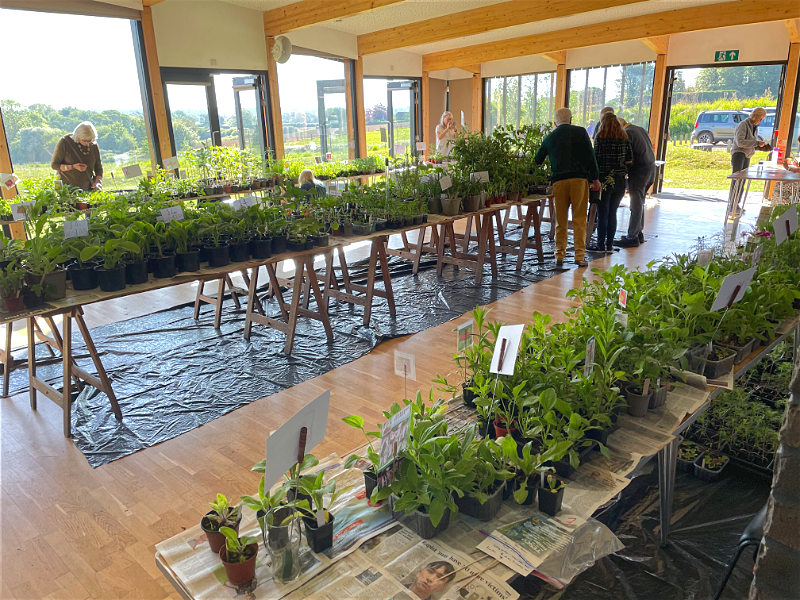 Plant Sale